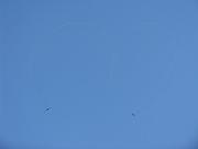 Horizon_Airmeet_2013_Set_2 144